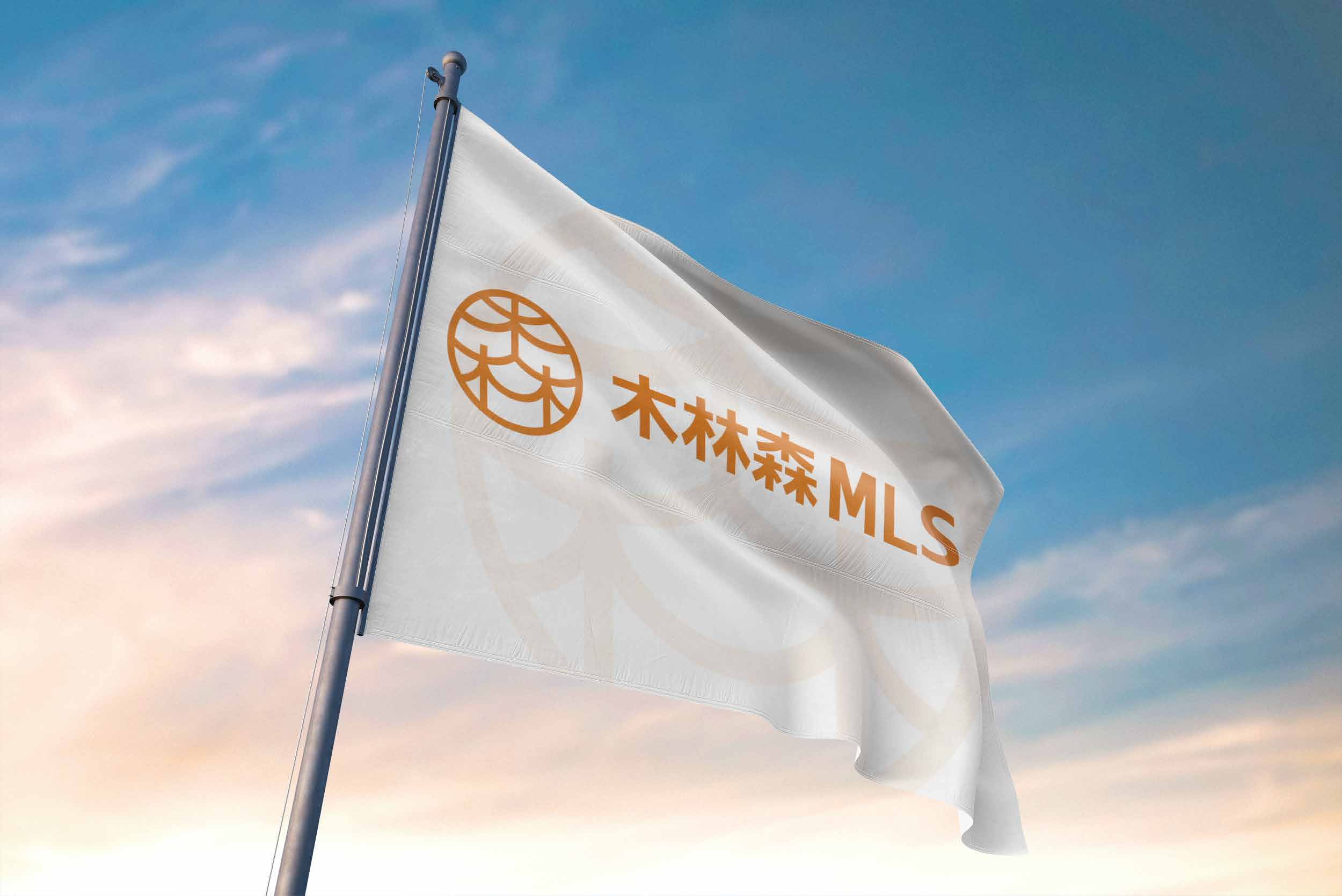 MLS Group — 木林森